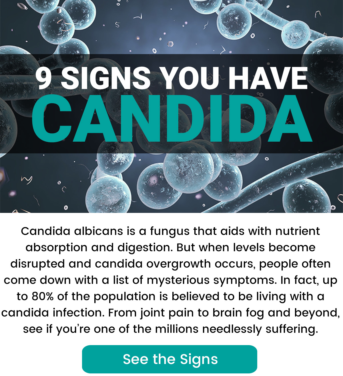 9 Candida Symptoms And 3 Steps To Treat Them Jsr Communications Free